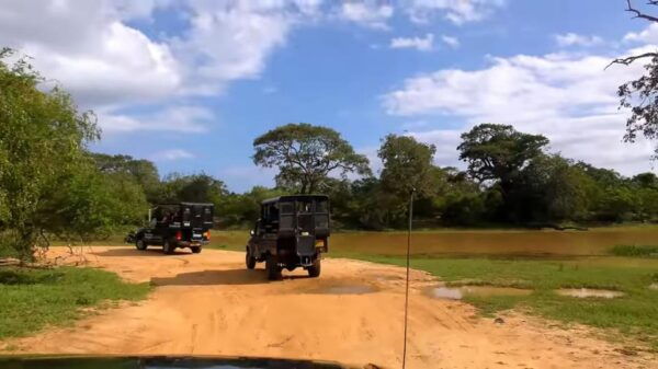 Sri Lanka Hill Country Exclusive 4-Day Tour - Inclusions of the Tour