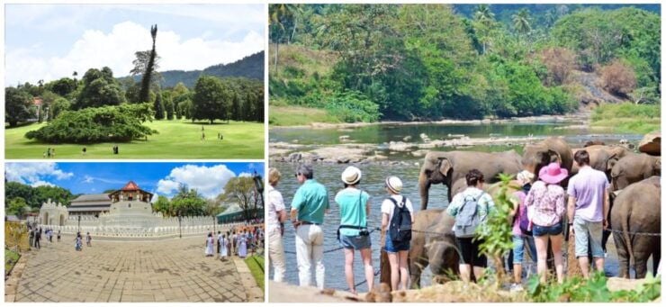 Sri Lanka Hill Country Train Trip, Kandy, Nuwara Eliya 2-Day - Activity Details