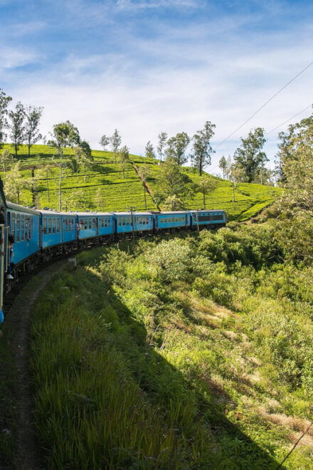 Sri Lanka Hill Country Train, Water Rafting, Jungle Safari - White Water Rafting Experience