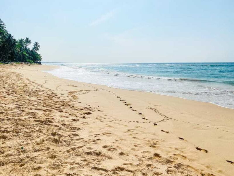 Sri Lanka: History ,Wildlife, Beaches, 7 Days Private Tour - FAQ  