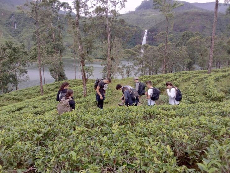 Sri Lanka Holidays With 5 Days Trekking the Pekoe Trail - Booking and Duration Information