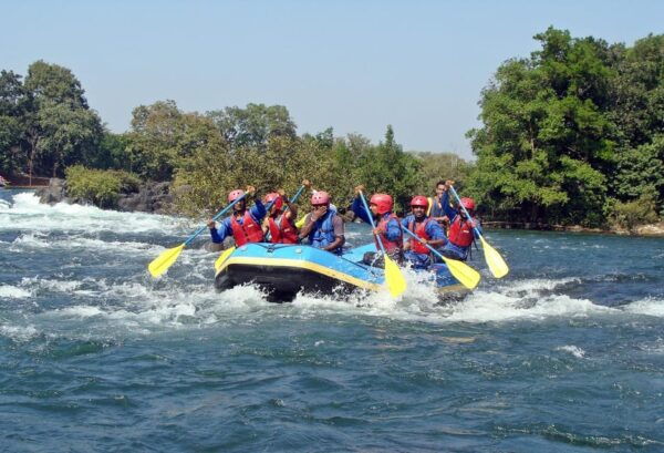 Sri Lanka Jungle Tour 4 Days-Rainforests, National Parks... - Important Travel Information
