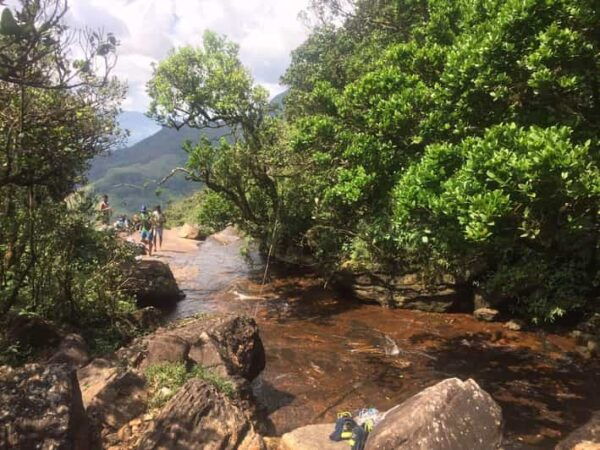 Sri Lanka Jungle Tour 4 Days-Rainforests, National Parks... - Frequently Asked Questions