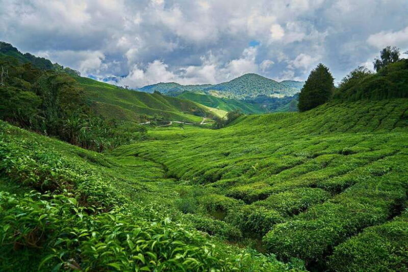 Sri Lanka, Kandy: Hill Country 3-Day Private Tour - An In-Depth Look at the 3-Day Hill Country Tour