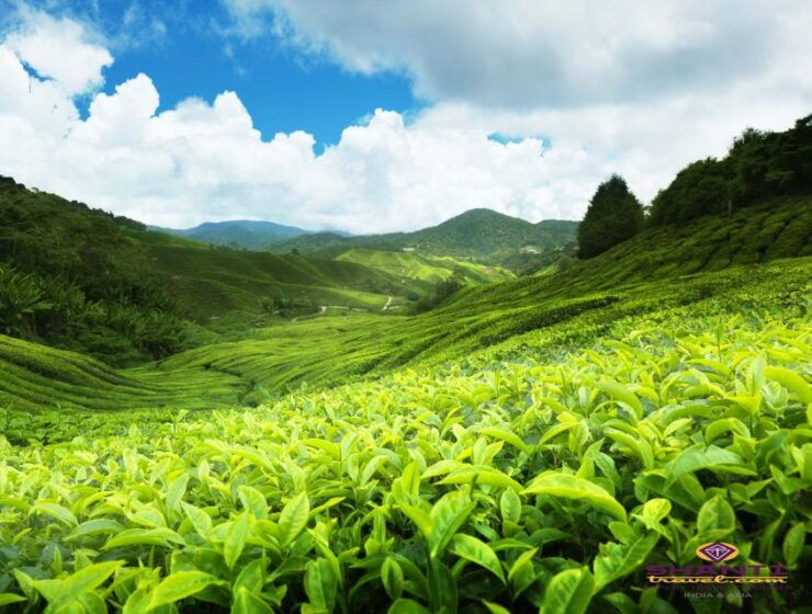 Sri Lanka: Kandy Private Day Tour With Pickup - Tour Highlights