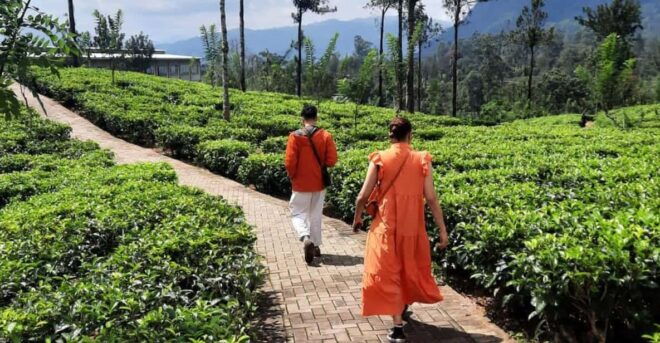 Sri Lanka : Kandy to Nuwara Eliya Day Tour - Important Locations