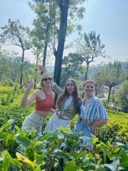 Sri Lanka : Kandy to Nuwara Eliya Day Tour - Tips for Travelers