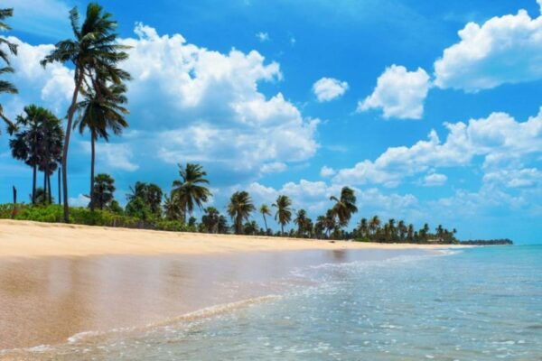 Sri Lanka: Kingdoms, Hill Stations, Beaches and Wildlife - Pricing and Booking Information