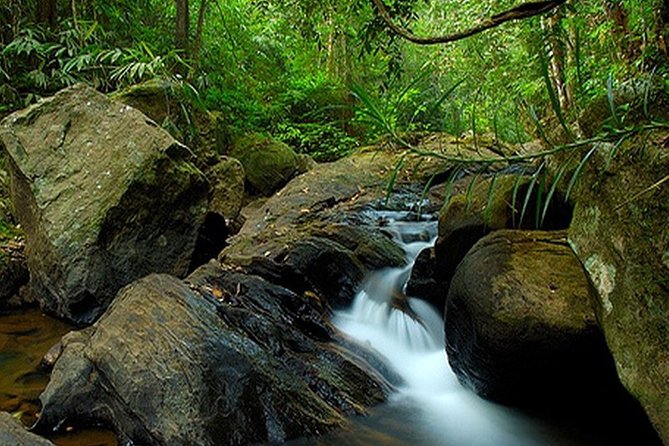 Sri Lanka Leopard Trail ( 15 N/ 16 D) - Day 3: Transfer to Yala National Park