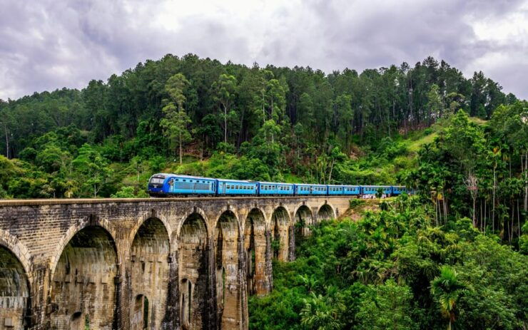 Sri Lanka Nature, Culture, History and Wildlife in 4 Days - Good To Know