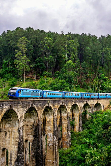Sri Lanka Nature, Culture, History and Wildlife in 4 Days - Day 3 Itinerary: Kandy to Nawalapitiya