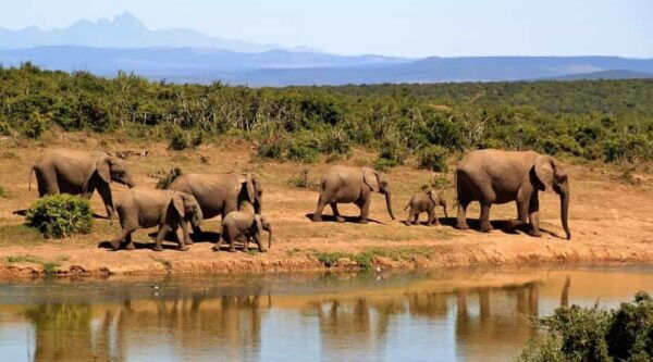 Sri Lanka Nature, Culture, History and Wildlife in 4 Days - Included Amenities and Services