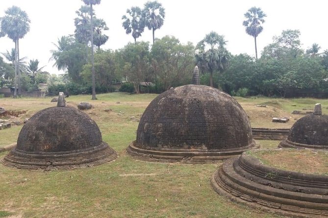 Sri Lanka North Tour - Reviews