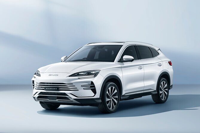 Sri Lanka Personal Tour with Car Driver - Practical Considerations