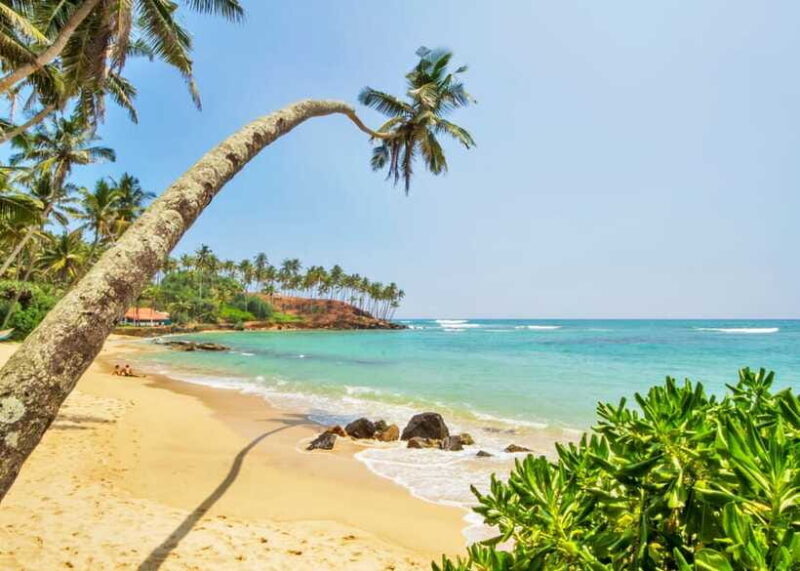 Sri Lanka Private 3-nights Tour Transport, Guide, Hotels - FAQ