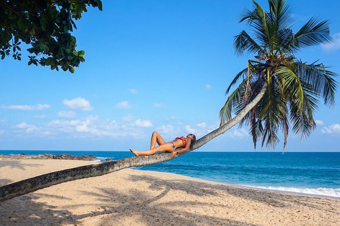 Sri Lanka Private 6-Day Driver Service: Tuk-Tuk, Car, or Van  - Kandy - Directions