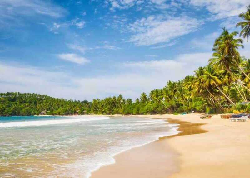 Sri Lanka Private 8-day Tour; Transport, Guide, Hotels, Food - Final Thoughts: Is This Tour Worth It?