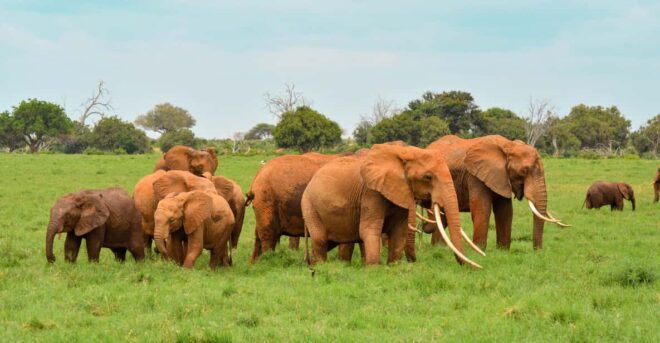 Sri Lanka: Private Cultural Triangle Tour With Hill Country - Accommodation Options