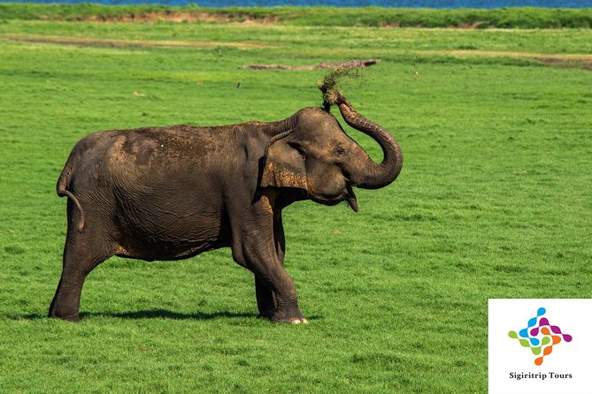 Sri Lanka Private Custom Driver Service Up To 14 Days - Colombo - Reviews and Ratings