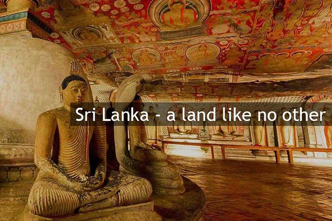 Sri Lanka Private Custom Driver Service Up To 14 Days - Colombo - Language Option