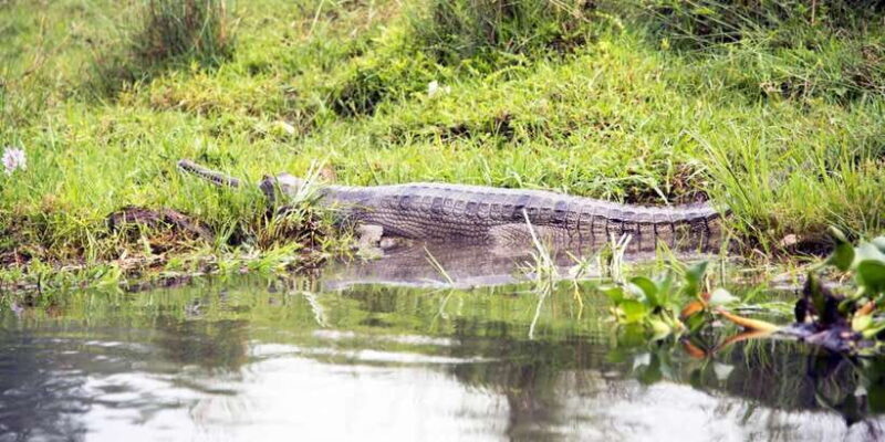 Sri Lanka Private Galle Tour: stilt fisherman, Galle Fort... - Authentic Experiences and Traveler Insights