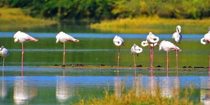 Sri Lanka Private Galle Tour: stilt fisherman, Galle Fort... - Authentic Insights From Reviews