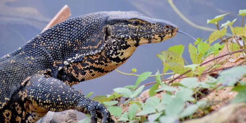 Sri Lanka Private Galle Tour: stilt fisherman, Galle Fort... - Final Thoughts: Is This Tour Worth It?