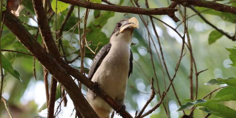 Sri Lanka Private Galle Tour: stilt fisherman, Galle Fort... - FAQ