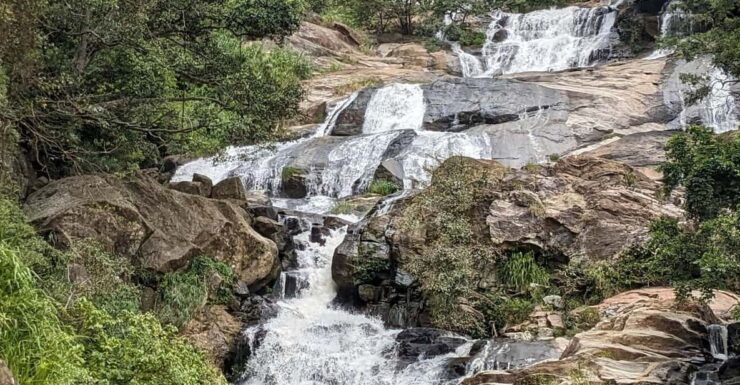 Sri Lanka: Private Multi Day Tour . 06 Days 05 Nights. - Good To Know