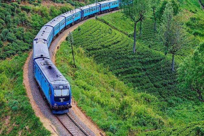 Sri Lanka Private Tour 10 DAYS Driver/Vehicle/Accommodation H/B - Cancellation Policy