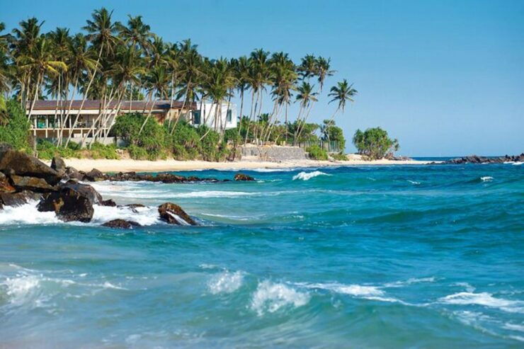 Sri Lanka Private Tour 8 Days (Driver,Vehicle,Accommodation) - Tour Price and Reservation Details
