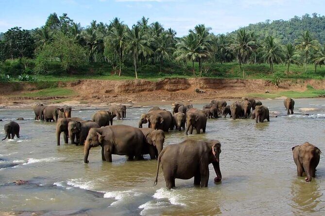 Sri Lanka Private Tour with Driver  Flexible Dates & Itinerary - Good To Know