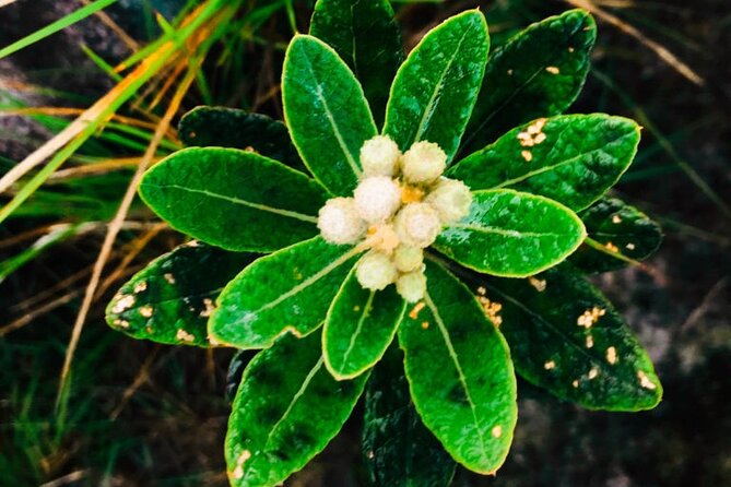 Sri Lanka Privet Tour/7 Days Chauffeur, Vehicle, Accommodations Customizable - Additional Information