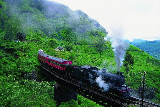Sri Lanka; Professional Chauffeur Guide With Modern Vehicles - Modern Vehicles for Comfortable Travel