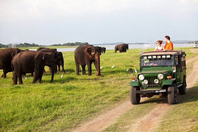Sri Lanka; Professional Chauffeur Guide With Modern Vehicles - Traveler Photos and Reviews
