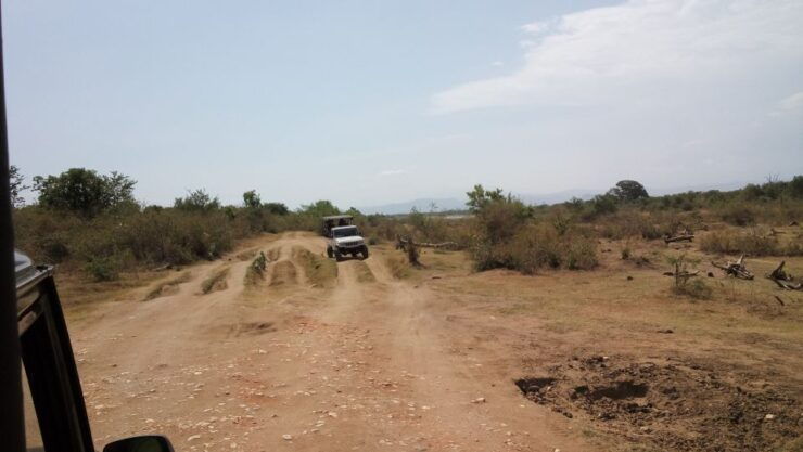 Sri Lanka Rainforest Trekking, Wildlife Safari, Water Sport - Activity Details
