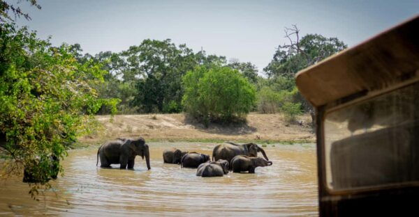 Sri Lanka Rare 4-Day Tour - Booking Process