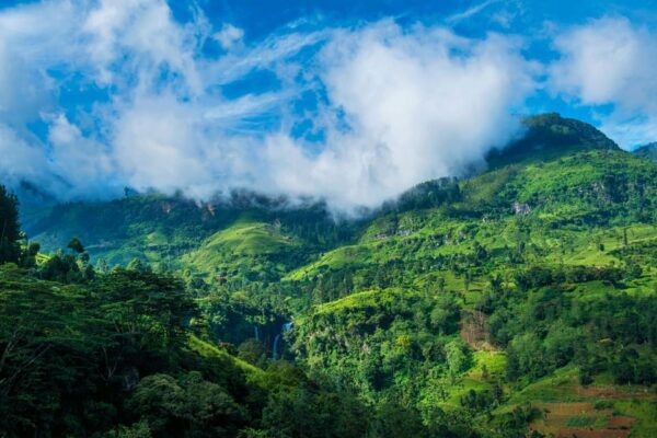 Sri Lanka Retreat, 5 Day Tour - Day 4 Highlights