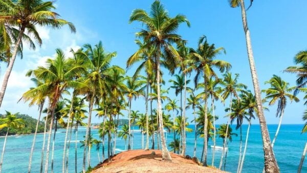 Sri Lanka: Sightseeing, Adventure, and Luxury Tours - Preparation Tips