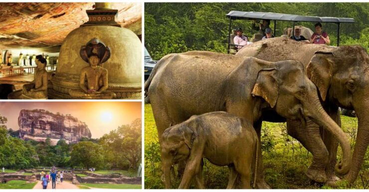 Sri Lanka Sigiriya, Dambulla, Kandy, Hill Country Train Trip - Activity Details