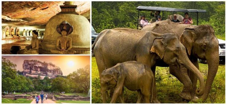 Sri Lanka Sigiriya, Dambulla, Kandy, Hill Country Train Trip - Participant Information