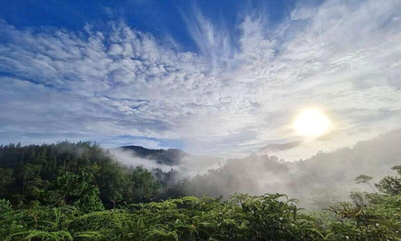 Sri Lanka : Sinharaja Rainforest Guided Trek with Pickup - Good To Know