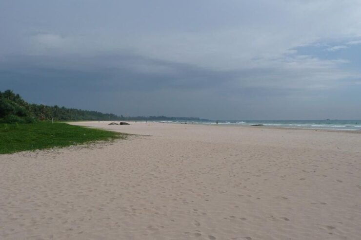 Sri Lanka South Coast, River Safari, Galle Fort, Sea Turtle - Booking and Logistics