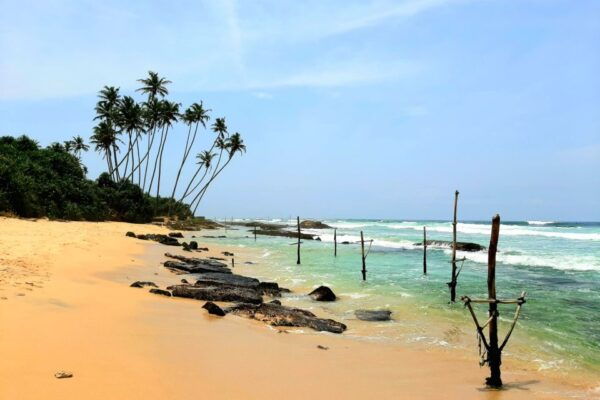 Sri Lanka South Coast, River Safari, Galle Fort, Sea Turtle - The Sum Up