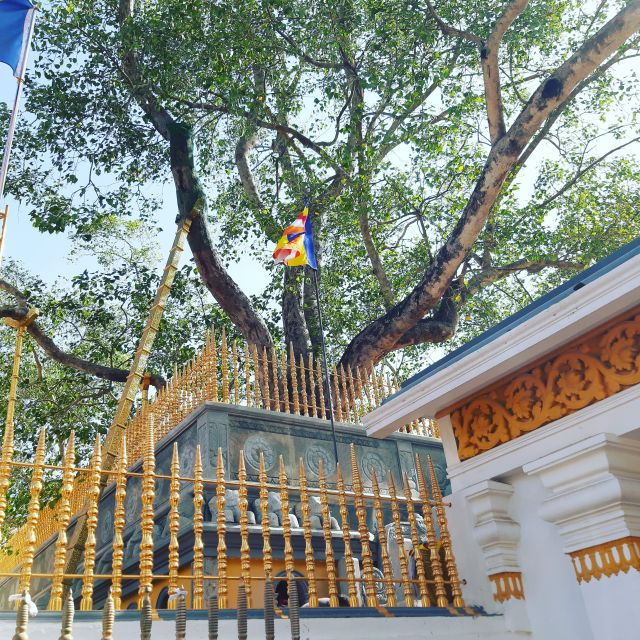 Sri Lanka Ten Days Historical Sightseeing Tour - Tour Highlights