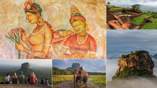 Sri Lanka Tour 06 Nights 07 Days With Hotels & Transport - Contact and Support Information
