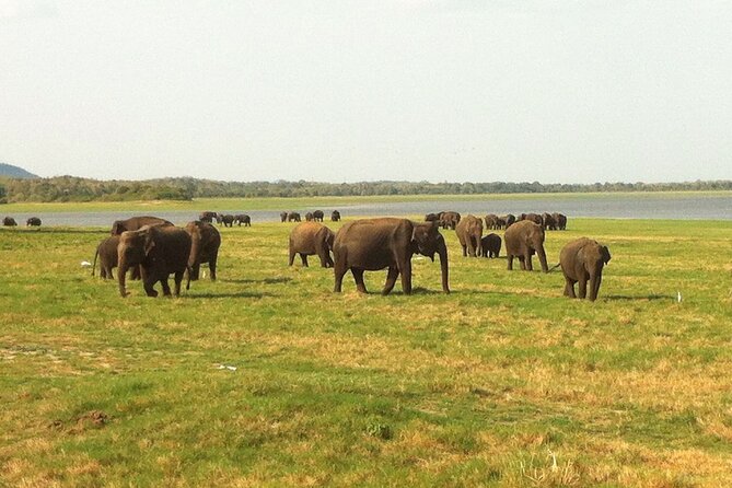 Sri Lanka Tour for 10 Days: Heritage, Culture and Beach - Beach Escapes