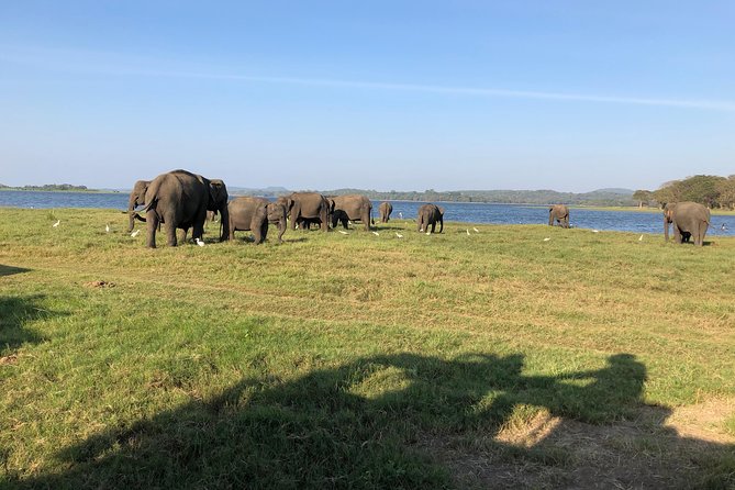 Sri Lanka Tour in 8 Days - Cancellation Policy