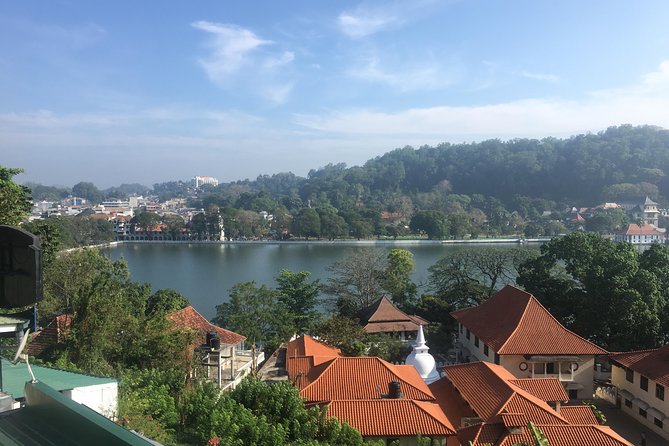 Sri Lanka Tour in 8 Days - Assistance and Questions