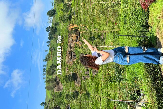 Sri Lanka Tour Package in 05 Nights 06 Days - Price and Terms